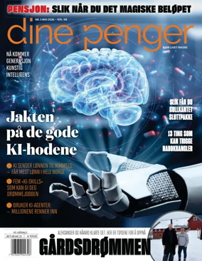 Cover of VG DINE PENGER