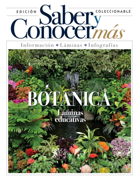 Cover of Saber y Conocer mas
