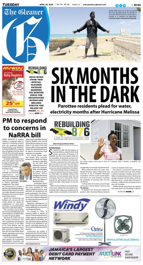Cover of The Gleaner