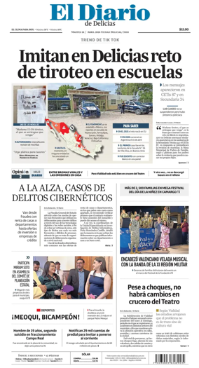 Cover of El Diario de Delicias