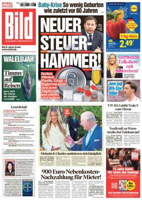 Cover of Bild