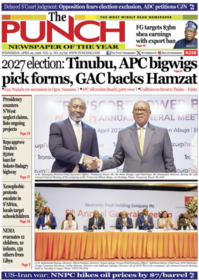 Cover of The Punch