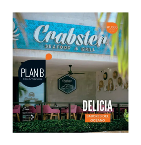 Cover of Plan B