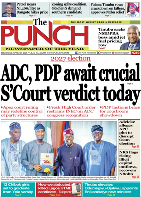 Cover of The Punch