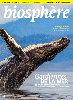 Cover of Biosphere