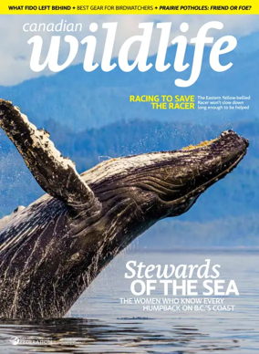 Cover of Canadian Wildlife