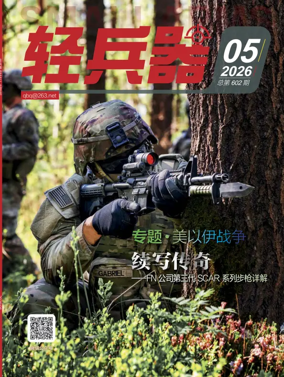 Cover of Small Arms