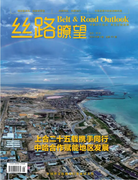 Cover of The New Silk Road Review
