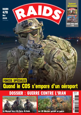 Cover of RAIDS