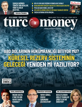 Cover of Turcomoney