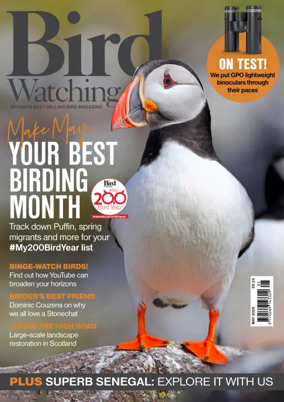 Cover of Bird Watching (UK)