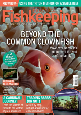 Cover of Practical Fishkeeping