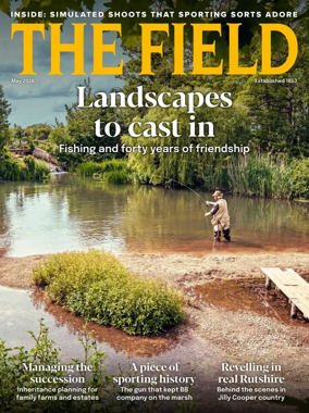 Cover of The Field