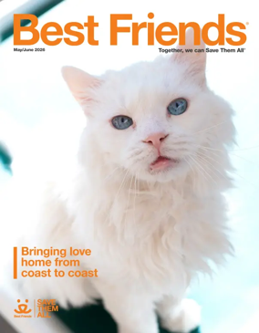 Cover of Best Friends