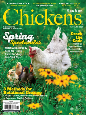Cover of Chickens