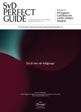 Cover of SvD Perfect Guide