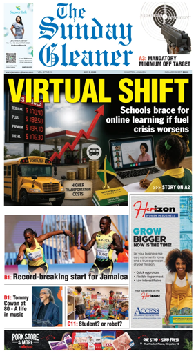 Cover of The Gleaner