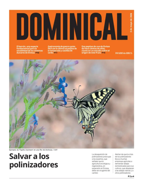 Cover of Dominical