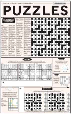 Cover of Puzzles
