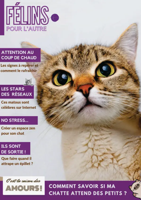 Cover of Felins pour l'autre