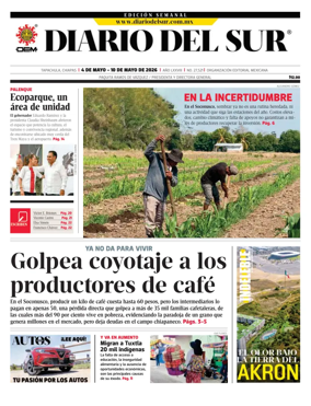Cover of Diario del Sur