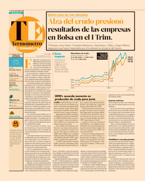 Cover of Termometro Economico