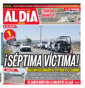 Cover of Periodico Al Dia (Celaya)