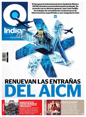 Cover of Reporte Indigo Nacional