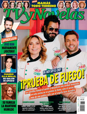 Cover of TVyNovelas (Mexico)