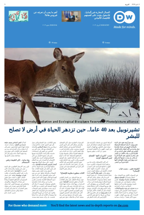 Cover of Deutsche Welle (Arabic Edition)