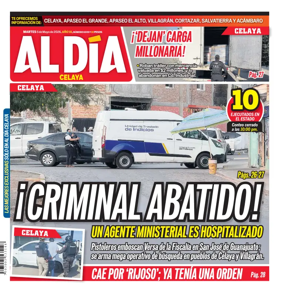 Cover of Periodico Al Dia (Celaya)
