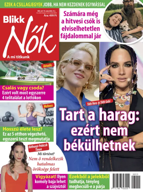 Cover of Blikk Nok