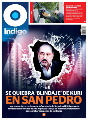 Cover of Reporte Indigo Nacional
