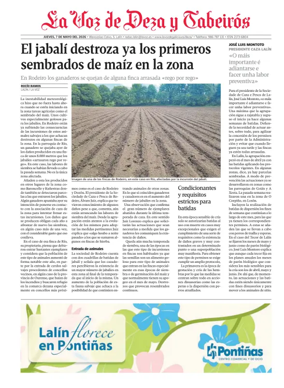 Cover of Deza local