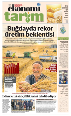 Cover of NBE - Sektor Ekleri