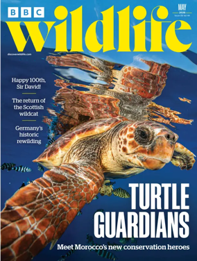Cover of BBC Wildlife Magazine
