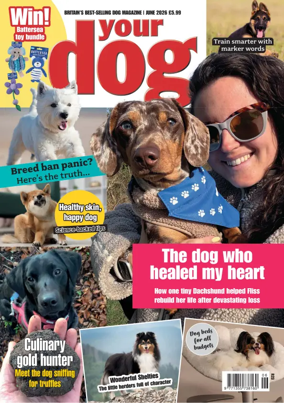 Cover of Your Dog