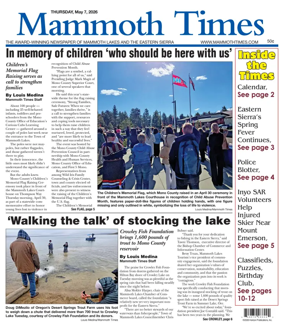 Cover of Mammoth Times