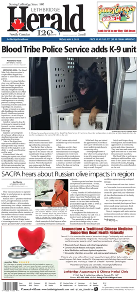 Cover of Lethbridge Herald