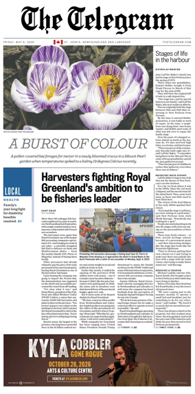 Cover of The Telegram (St. John's)