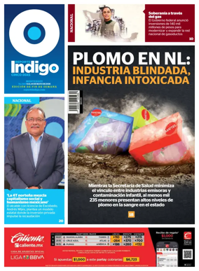 Cover of Reporte Indigo Monterrey
