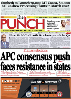 Cover of The Punch