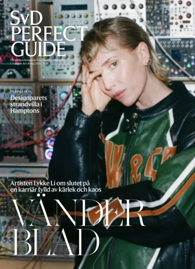 Cover of SvD Perfect Guide