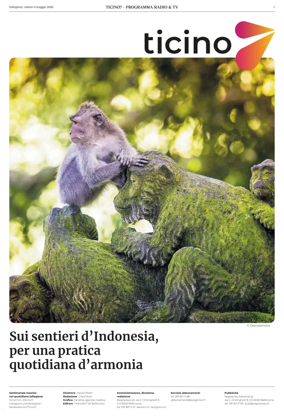 Cover of Ticino 7