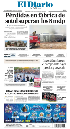 Cover of El Diario de Delicias