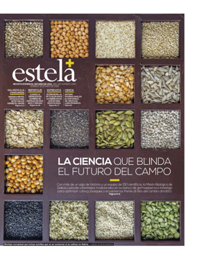 Cover of Estela