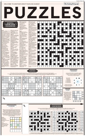 Cover of Puzzles