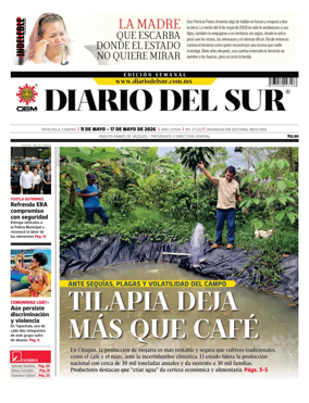 Cover of Diario del Sur
