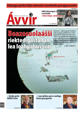 Cover of Avvir