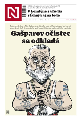 Cover of Dennik N